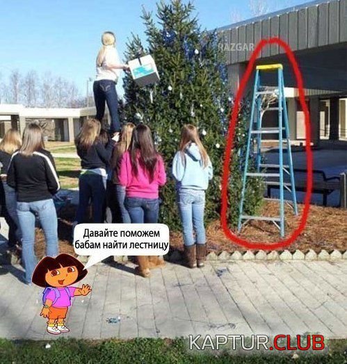 bc4ff1275ffdb9b3e90bf394007.jpg | Рено Каптур Клуб Россия | Форум KAPTUR.SU