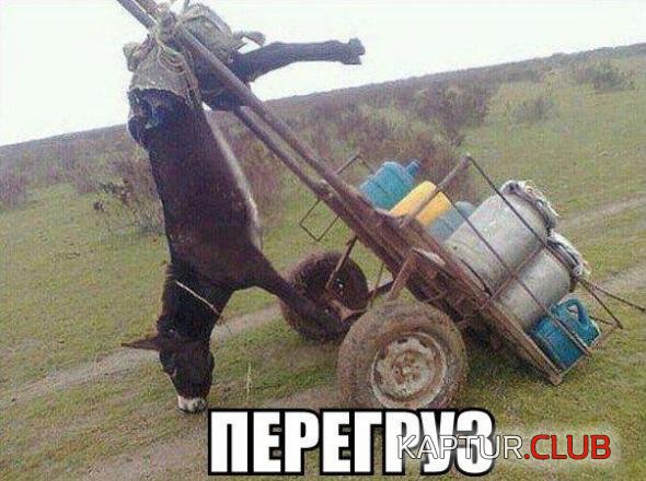 bcfba7255ca43757f7f375e7090_prev.jpg | Рено Каптур Клуб Россия | Форум KAPTUR.SU