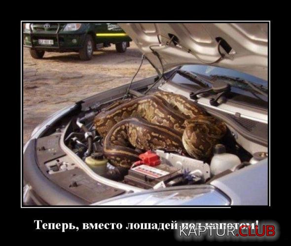 be6549837420cc4e86003982658_prev.jpg | Рено Каптур Клуб Россия | Форум KAPTUR.SU