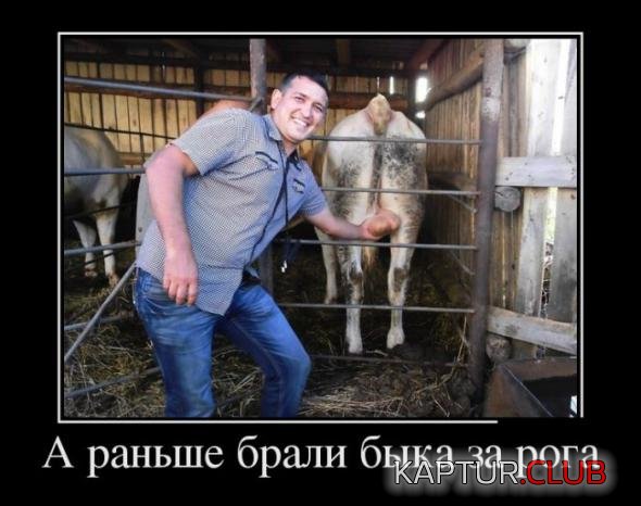 be672dc3e7a04df6f5c6669be76_prev.jpg | Рено Каптур Клуб Россия | Форум KAPTUR.SU
