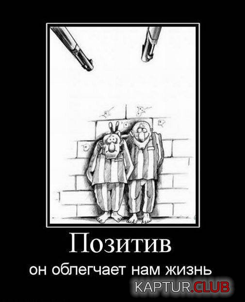 be685fe85c46227bcfb14e317b3.jpg | Рено Каптур Клуб Россия | Форум KAPTUR.SU