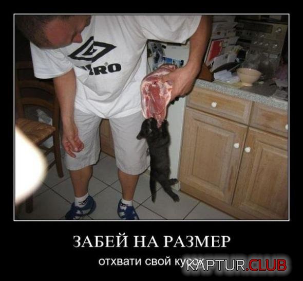beb26c50ba4827c6ad052960d5f_prev.jpg | Рено Каптур Клуб Россия | Форум KAPTUR.SU