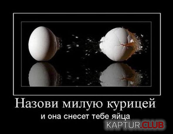 bed89e9943c6b9bc310be58d720_prev.jpg | Рено Каптур Клуб Россия | Форум KAPTUR.SU