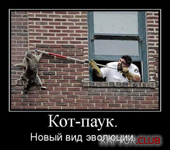 bf38e3df918ef244843c498930a.jpg | Рено Каптур Клуб Россия | Форум KAPTUR.SU