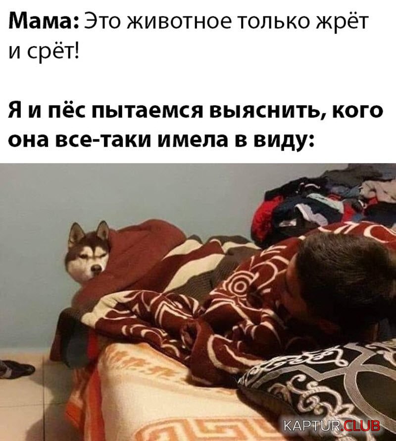 birthday-869_714.jpg | Рено Каптур Клуб Россия | Форум KAPTUR.SU