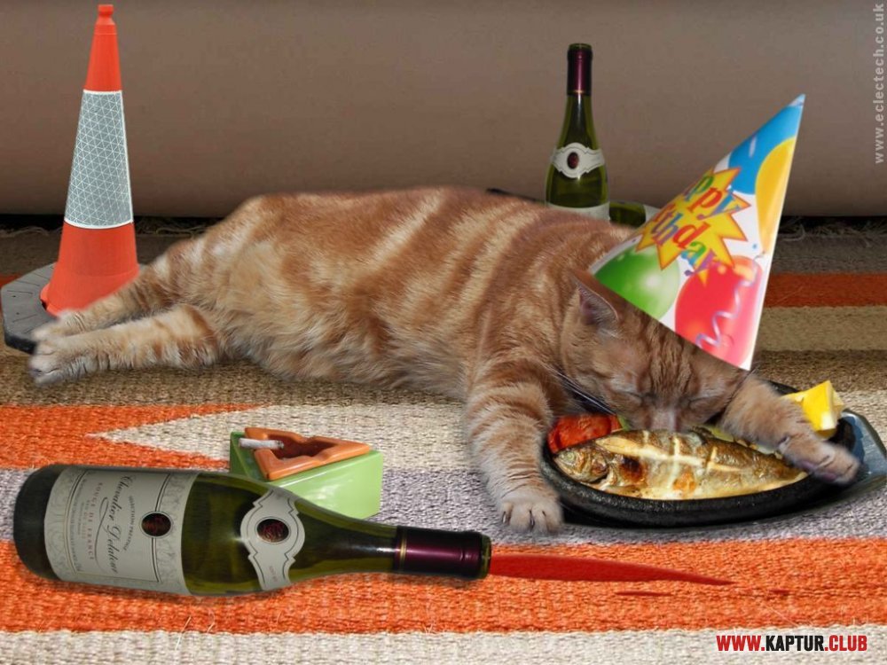 birthday-animals-3.jpg | Рено Каптур Клуб Россия | Форум KAPTUR.SU