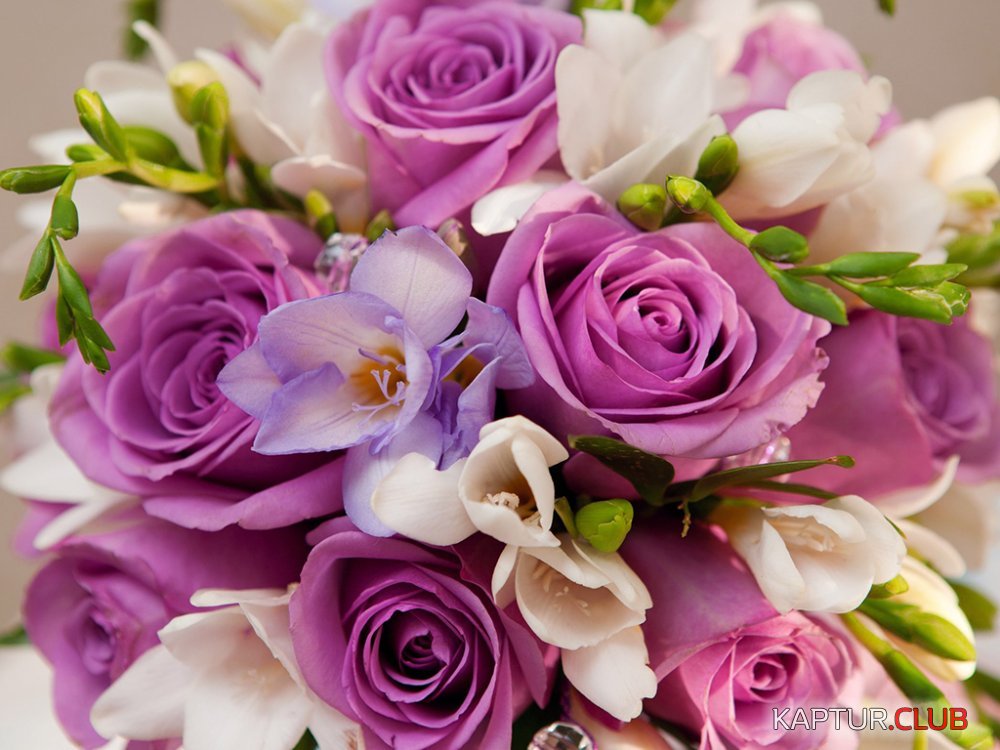 BirtHDay-Flowers-HD-Desktop-Wallpaper-19790.jpg | Рено Каптур Клуб Россия | Форум KAPTUR.SU