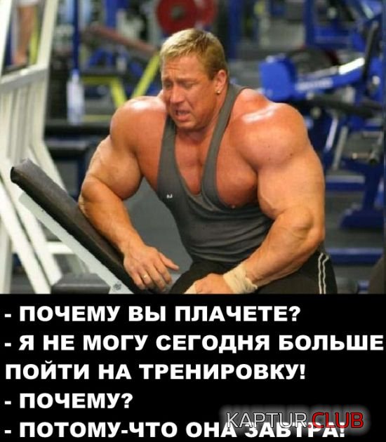 bodborka_vecher_16.jpg | Рено Каптур Клуб Россия | Форум KAPTUR.SU