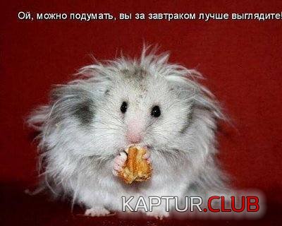 breakfast.jpg | Рено Каптур Клуб Россия | Форум KAPTUR.SU