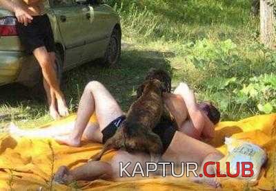c0358c7c57585d985070230214db92da_full.jpg | Рено Каптур Клуб Россия | Форум KAPTUR.SU