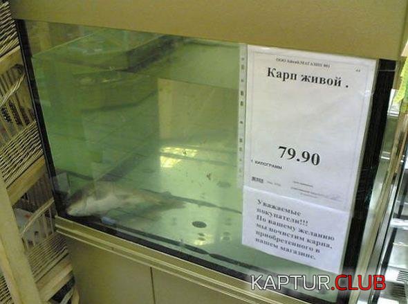 c03666911e17aa79bc8e08e384a_prev.jpg | Рено Каптур Клуб Россия | Форум KAPTUR.SU