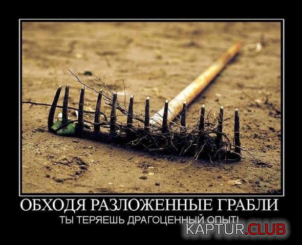 c0609d5d49d049127bded69d468_prev.jpg | Рено Каптур Клуб Россия | Форум KAPTUR.SU