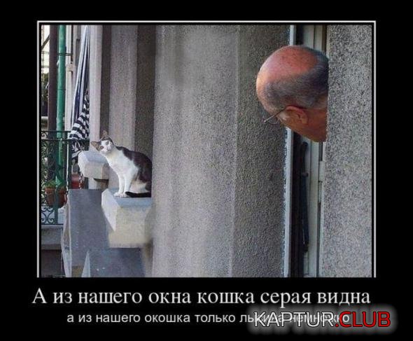 c07ddfa48ecb0f7aeefddce6d9c_prev.jpg | Рено Каптур Клуб Россия | Форум KAPTUR.SU