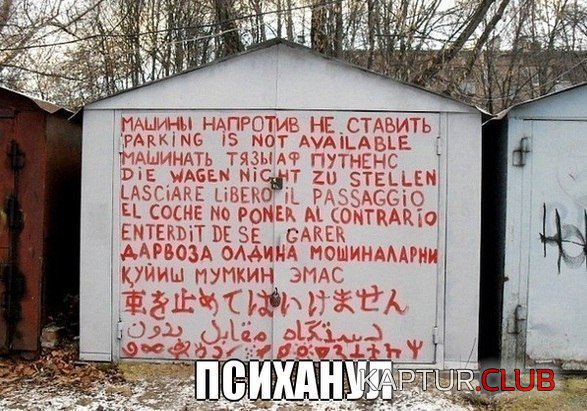 c09a1f1f5a5a22dced7d3ce5ac5.jpg | Рено Каптур Клуб Россия | Форум KAPTUR.SU