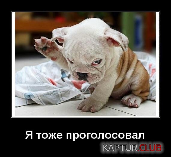 c0d62afc21d74732b384b351e91.jpg | Рено Каптур Клуб Россия | Форум KAPTUR.SU