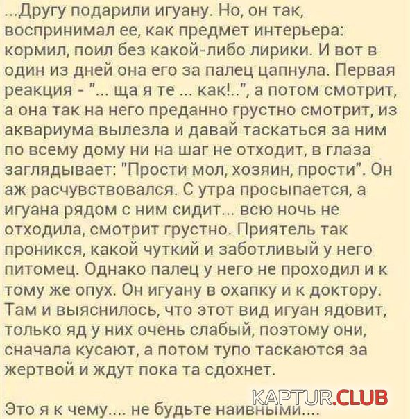 c0df9e72467fa92dff105ad595d.jpg | Рено Каптур Клуб Россия | Форум KAPTUR.SU