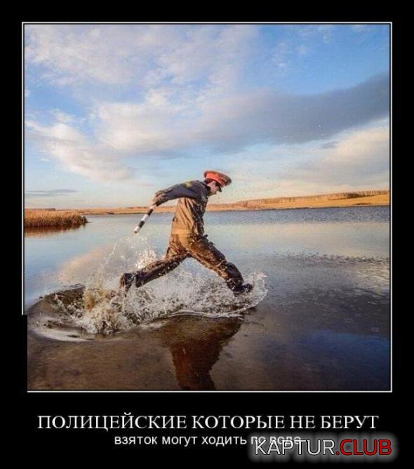 c1af8e63a5d481a91702d208902_prev.jpg | Рено Каптур Клуб Россия | Форум KAPTUR.SU