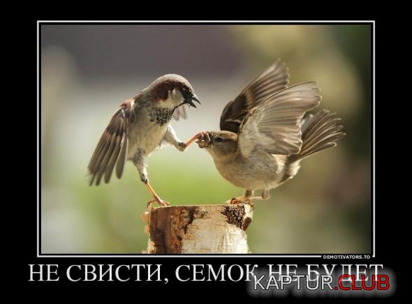 c1c02407b5eb40b30336be72b8f_prev.jpg | Рено Каптур Клуб Россия | Форум KAPTUR.SU
