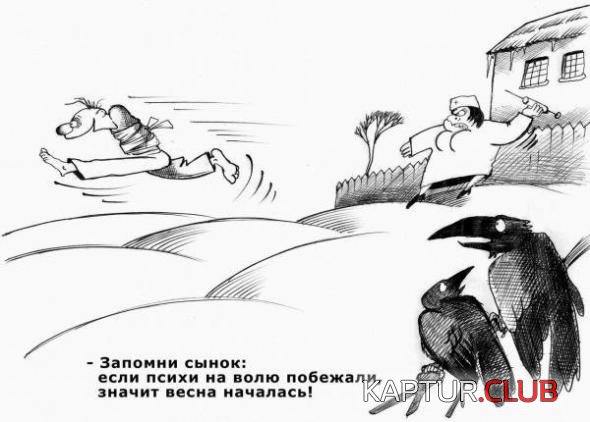 c332fae20a140d0f5448e4897a0_prev.jpg | Рено Каптур Клуб Россия | Форум KAPTUR.SU