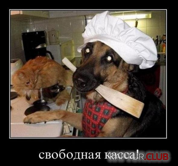 c4159f268ddceedf678bdb0a1ef_prev.jpg | Рено Каптур Клуб Россия | Форум KAPTUR.SU