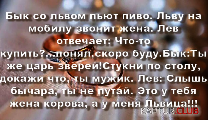 c41d651ccfac7091c503c731823.jpg | Рено Каптур Клуб Россия | Форум KAPTUR.SU