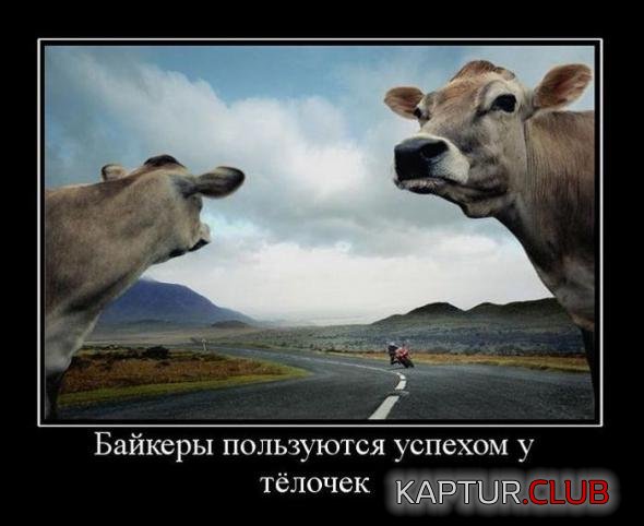 c4b945fa6a990fe48f94c2cc1f5_prev.jpg | Рено Каптур Клуб Россия | Форум KAPTUR.SU