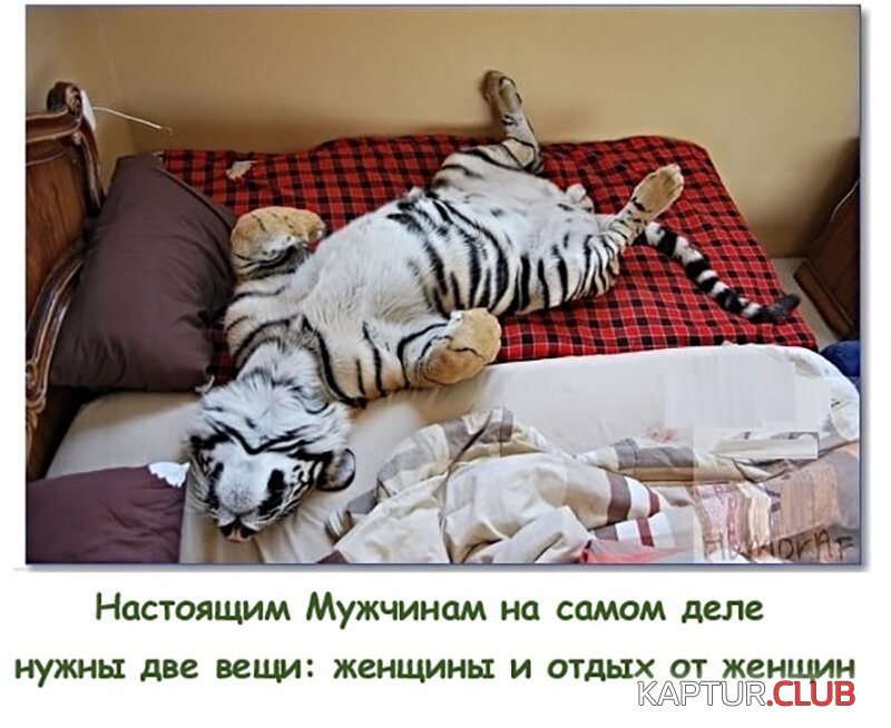 c4ba39af2028e3250710a86a2f2.jpg | Рено Каптур Клуб Россия | Форум KAPTUR.SU