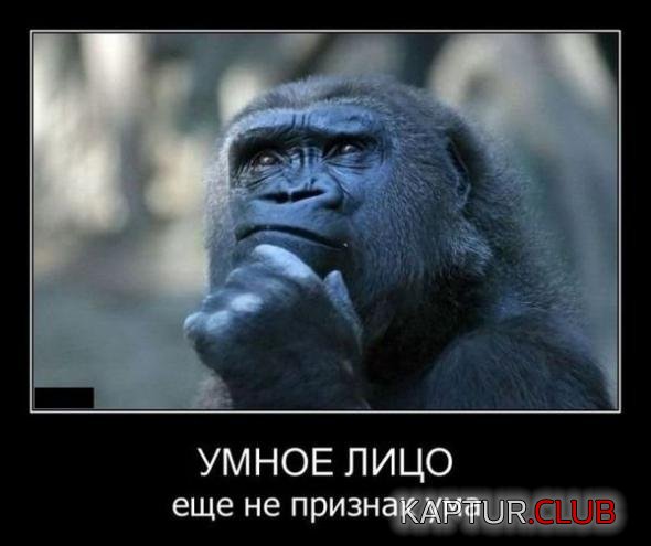 c4c8e5263cf4f79267da7217620_prev.jpg | Рено Каптур Клуб Россия | Форум KAPTUR.SU