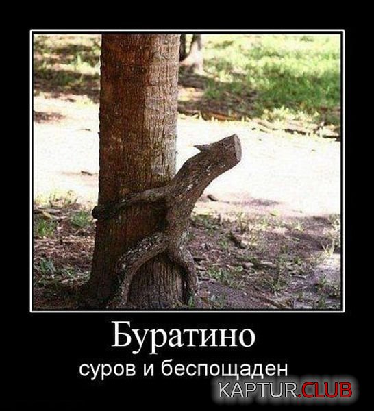 c4d888ecc51a80c539be6ffe587.jpg | Рено Каптур Клуб Россия | Форум KAPTUR.SU