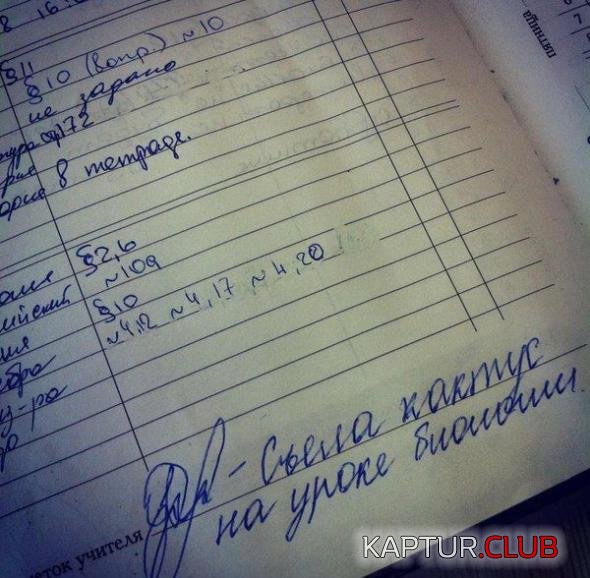 c4f1a0a58b21d2d30110fff51b8_prev.jpg | Рено Каптур Клуб Россия | Форум KAPTUR.SU