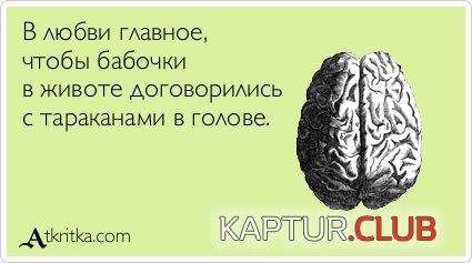 c5edfd985b46f5a0cea23521c78.jpg | Рено Каптур Клуб Россия | Форум KAPTUR.SU