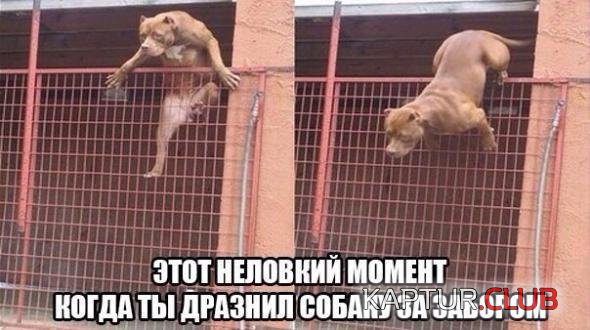 c5eec67e0f1d2ae075ef159940e_prev.jpg | Рено Каптур Клуб Россия | Форум KAPTUR.SU