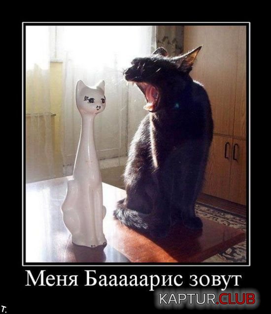c6269b824b2005dd26e55636cd1.jpg | Рено Каптур Клуб Россия | Форум KAPTUR.SU