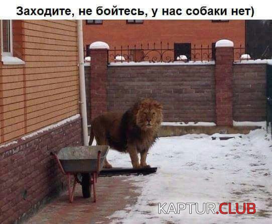 c6adb530-f83f-4fda-bb45-df7bff88d4be.jpg | Рено Каптур Клуб Россия | Форум KAPTUR.SU