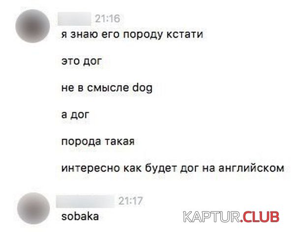 c6de750afebc316dd68753a1333.jpg | Рено Каптур Клуб Россия | Форум KAPTUR.SU