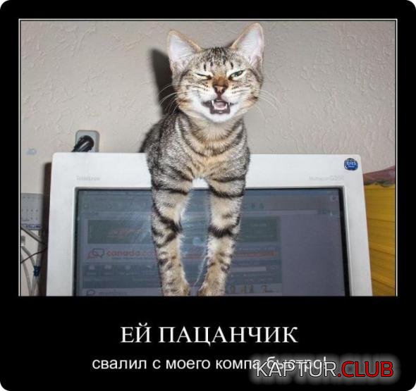 c6df13afe7881b1d724f078cb72_prev.jpg | Рено Каптур Клуб Россия | Форум KAPTUR.SU
