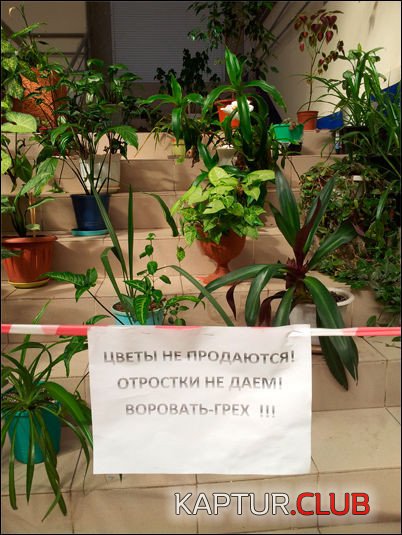 c6fecb236be3e64f6ea8d1776dd.jpg | Рено Каптур Клуб Россия | Форум KAPTUR.SU