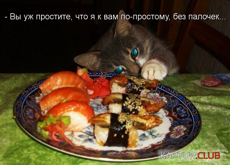 c74ad1ecb445d6ebfd6d6307017.jpg | Рено Каптур Клуб Россия | Форум KAPTUR.SU