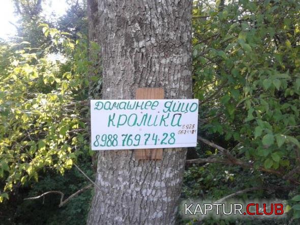 c79c2fcf6e4fc73344833753918_prev.jpg | Рено Каптур Клуб Россия | Форум KAPTUR.SU