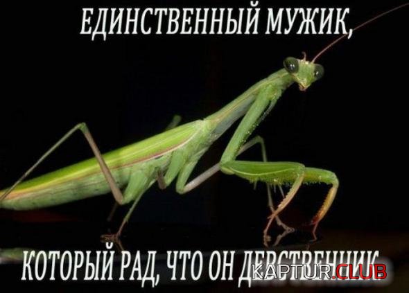c7c388fa2303c0a534cd1692c89_prev.jpg | Рено Каптур Клуб Россия | Форум KAPTUR.SU