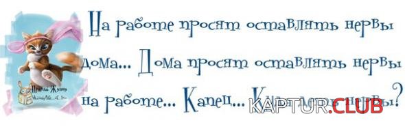 c800c7f1acff21b9d7bd5d8bf56_prev.jpg | Рено Каптур Клуб Россия | Форум KAPTUR.SU