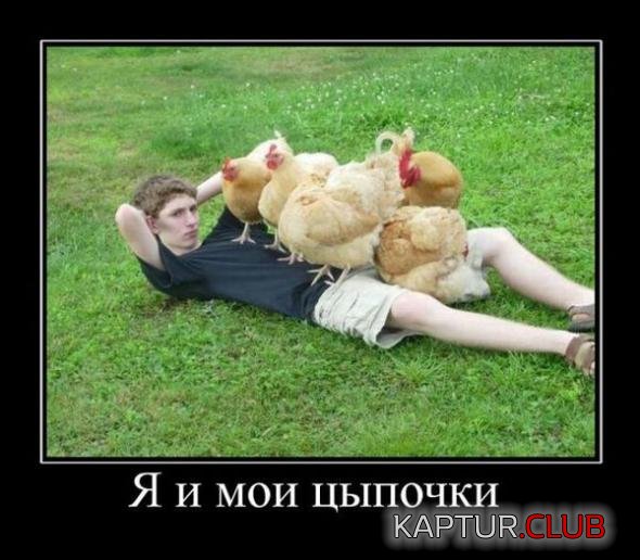 c8328a663746048cf50f3b66c95_prev.jpg | Рено Каптур Клуб Россия | Форум KAPTUR.SU