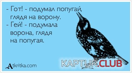 c8a41f1c1b73174661c2bde3886.jpg | Рено Каптур Клуб Россия | Форум KAPTUR.SU