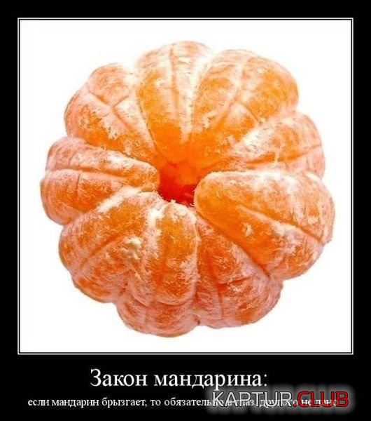 c9056ddccd08cf37f07d0f59c0b.jpg | Рено Каптур Клуб Россия | Форум KAPTUR.SU