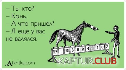 c912ed7f97c2c3491e6fe33dd48.jpg | Рено Каптур Клуб Россия | Форум KAPTUR.SU