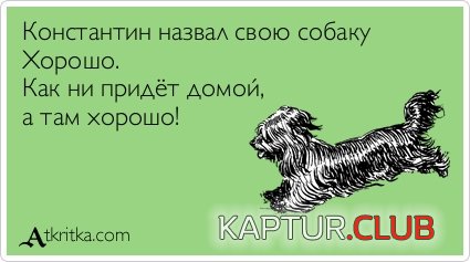 c96d1880632f33f1f2044213935.jpg | Рено Каптур Клуб Россия | Форум KAPTUR.SU