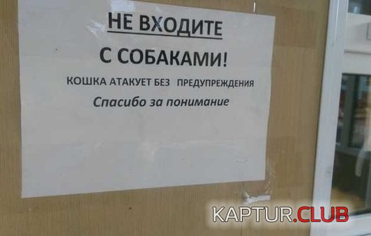 c977b983747c9515b60cb99d392.jpg | Рено Каптур Клуб Россия | Форум KAPTUR.SU