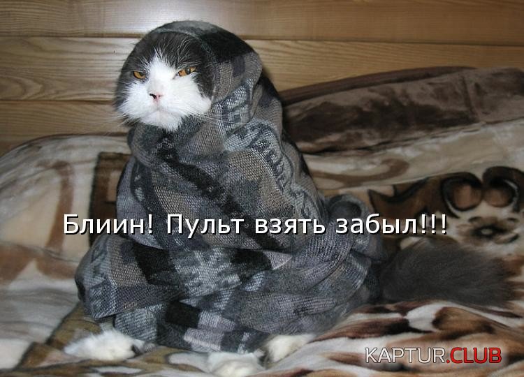 C__Data_Users_DefApps_AppData_INTERNETEXPLORER_Temp_Saved Images_htmlimage(1).jpg | Рено Каптур Клуб Россия | Форум KAPTUR.SU