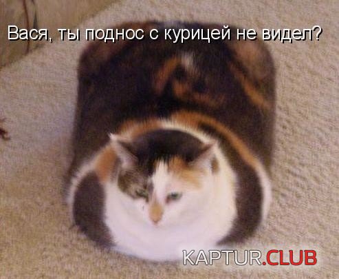 C__Data_Users_DefApps_AppData_INTERNETEXPLORER_Temp_Saved Images_htmlimage(3).jpg | Рено Каптур Клуб Россия | Форум KAPTUR.SU
