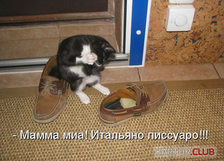 C__Data_Users_DefApps_AppData_INTERNETEXPLORER_Temp_Saved Images_htmlimage.jpg | Рено Каптур Клуб Россия | Форум KAPTUR.SU